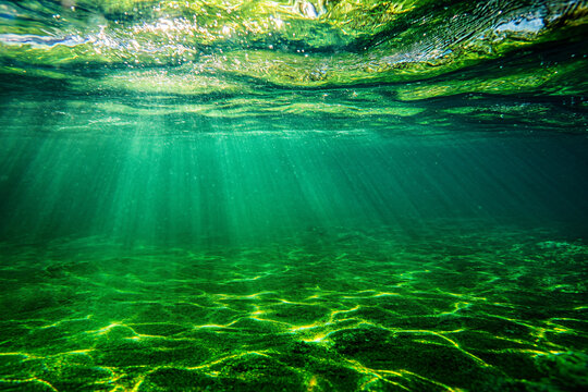 🌊 استراتژی چین در اقیانوس سبز- توسعه داروهای ضدویروسی از منابع دریایی