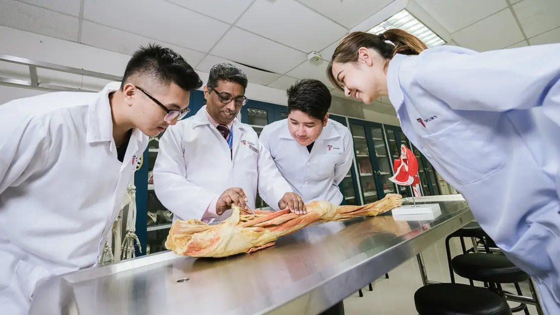 رشته پزشکی و دوره پیش‌پزشکی